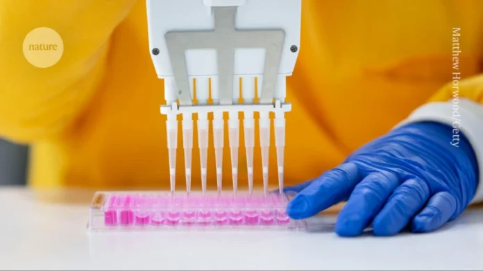 Merck and AstraZeneca have paused research and development investments in the United Kingdom