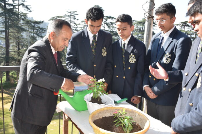 Annual Festivista 2025 at St. Edward’s