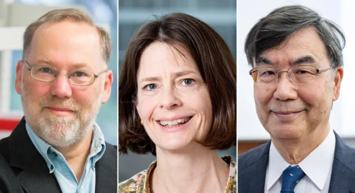 Fred Ramsdell, Mary E. Brunkow and Shimon Sakaguchi discovered cells that protect the body from autoimmune diseases.